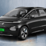 Windsor EV